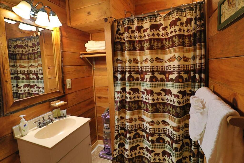 Alpine Mountain Sweetheart Cabin Jacuzzi #6 Helen Zewnętrze zdjęcie